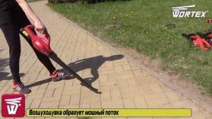 Воздуходувка Wortex BB 1218 D