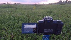 Canon M50 - снимаем таймлапс заката.