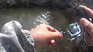 Мормышинг.Ловля карася на весеннем ручье.