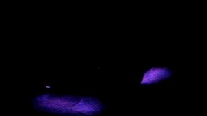 Подсветка днища ланос!