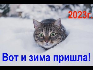 Вот и зима пришла. 2023г. Here comes the winter. 2023.