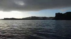 Кит в Антарктике