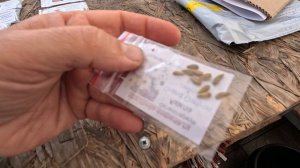 🌷 Цветы к 8 марта в теплице - Обзор семян - Сентябрь 2024