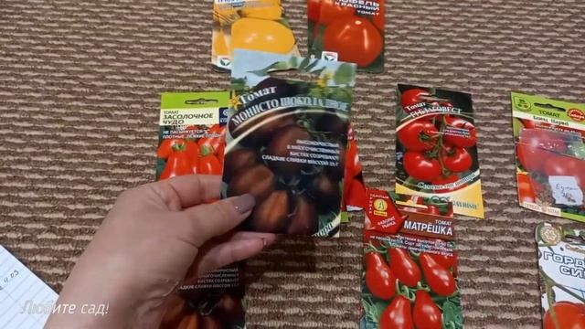 Когда нужно сажать томаты для теплицы и открытого грунта? какие сорта выбрать? смотреть онлайн