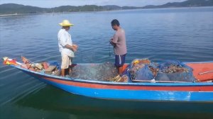 #AfricaTwin #CRF1000
Из Бангкока в Куала-Лумпур Ч.1