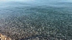 Обзор пляжа отеля L'ancora Beach Hotel 4*. Турция/Кемер. Strand in Kemer