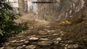 Skyrim special edition [PC] (8) TO Gray beards