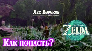 Как попасть в Лес Короков Tears of the Kingdom. Затерянные леса. Korok Forest.