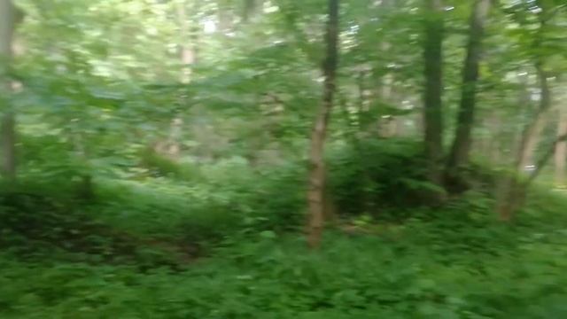Языческое капище в Московском парке Царицыно
