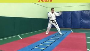 ТХЭКВОНДО. Скоростная (координационная) лестница