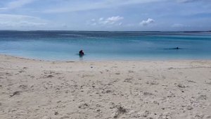 Семейный отдых на Мальдивах. Август 2022 Maldives Dhiffushi