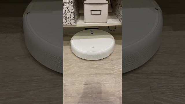 Озвучка робота-пылесоса Xiaomi Vacuum Mop (Максим без мата)