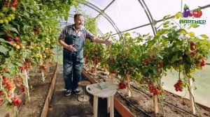 АГРОФИРМА ПАРТНЕР