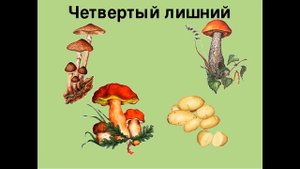 Ролик 3 Четвертый   лишний лексическая тема недели Грибы Ягоды Лес