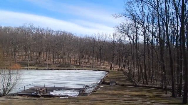 Пролески в Бабаёвском лесу. Харьковская область. Украина. 25.03.2019. смотреть онлайн