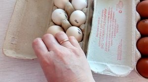 Черномедные мараны. Цвет и вес яйца. Готовимся к инкубации
