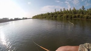 Ловля жереха.Спиннинг на реке Урал.