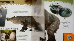 Про полосатого тигра и не только изд. Азбукварик