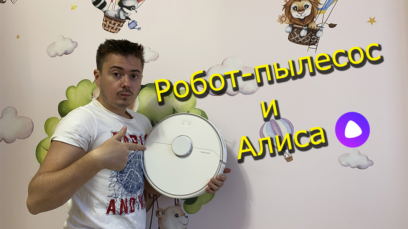 Умный пылесос с алисой. Умный дом DIY. Роборок логотип.