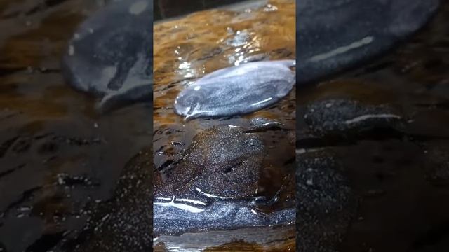 Заливаем стол эпоксидной смолой смотреть онлайн