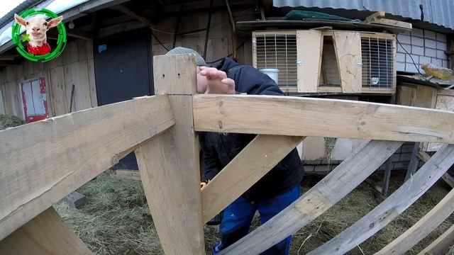 ЭКОНОМНАЯ КОРМУШКА ДЛЯ КОЗ