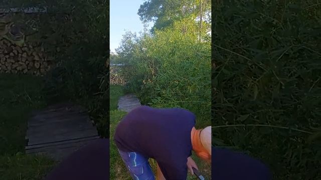 Устройство для природы и дачи смотреть онлайн