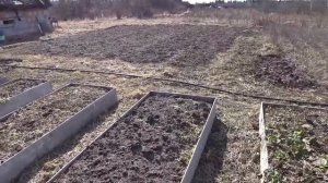 Грядки из плоского шифера. Что стало с грядками через год