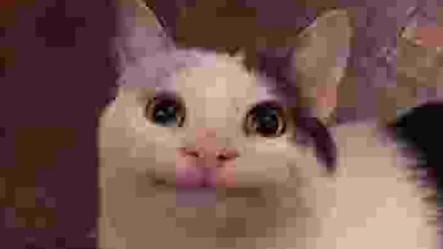 Когда Сломался WiFi... смотреть онлайн