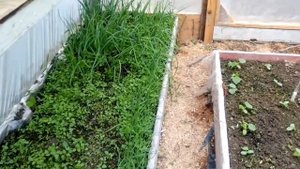 Теплица своими руками из подручных материалов за 100$