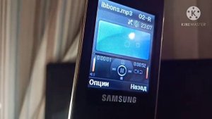 Обзор телефона Samsung SGH-E210