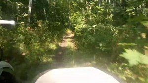 Покатушки на мотоцикле Урал в лес