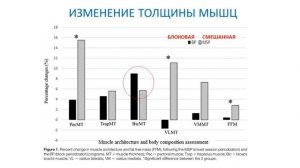 Периодизация в тренировках на массу и силу мышц / Обзор эксперимента