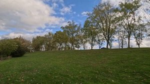 Любимые мелодии, Чистые пруды    Саксофон  - Сергей Овчинников