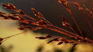 Мои фотографии