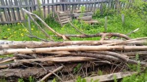 Абисинка в Томске фильтр для абиссинской скважины