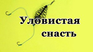 Простейшая, уловистая донка для ловли карася и карпа.
