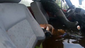 Утопили НИВУ ,Брод Вода в Шноркелье! off road, Нива Может!