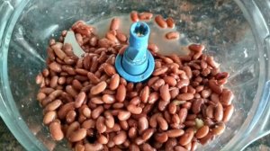 Готовлю паштет из фасоли с орехами