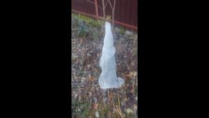 Как укрывать на зиму юкку в цфо