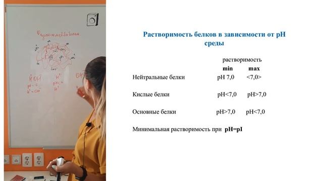 4. Физико-химические свойства белков смотреть онлайн