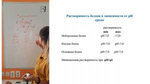 4.  Физико-химические свойства белков