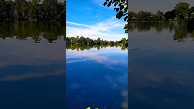 Красивое Данилище озеро в Заозерье манит к себе отдыхающих смотреть онлайн