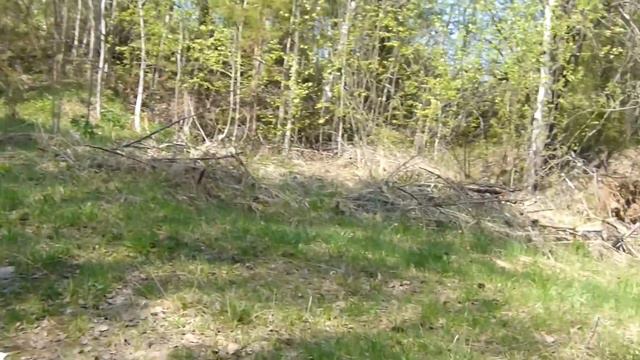 Весна на "Ключике" смотреть онлайн