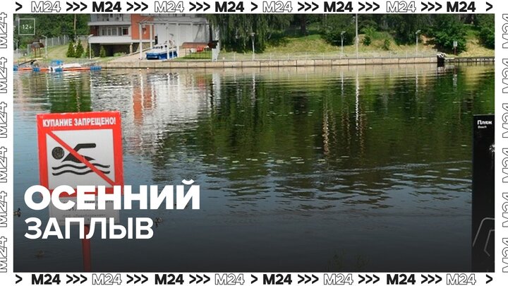 В Москве заметили купающегося мужчину в Воронцовском пруду - Москва 24