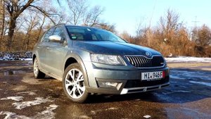 Skoda Octavia Scout - идеальный выбор для украинских дорог