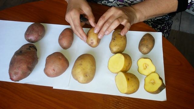 Начинающий картофелевод! Помогите определить сорта картошки!