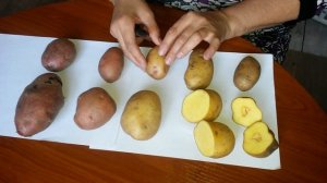 Начинающий картофелевод! Помогите определить сорта картошки!