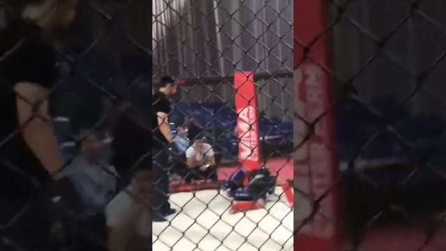 MMA. Соревнования по смешанным боевым единоборства ММА. г.Пермь 28.96.2023г. 1 место.