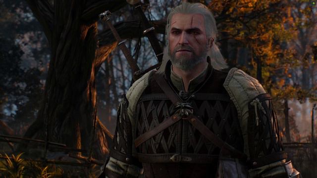 The Witcher 3 Кровавый Барон #14 смотреть онлайн