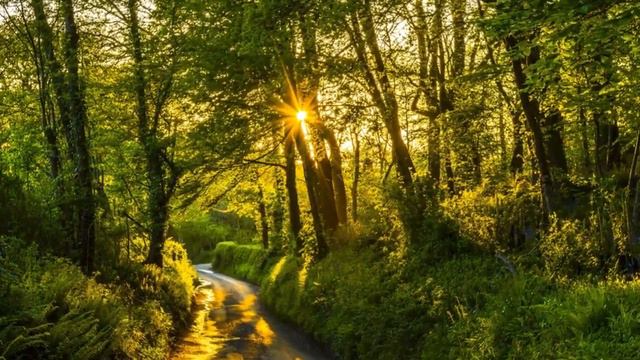 Роберт Адамс — 7 Три средства передачи самореализации смотреть онлайн